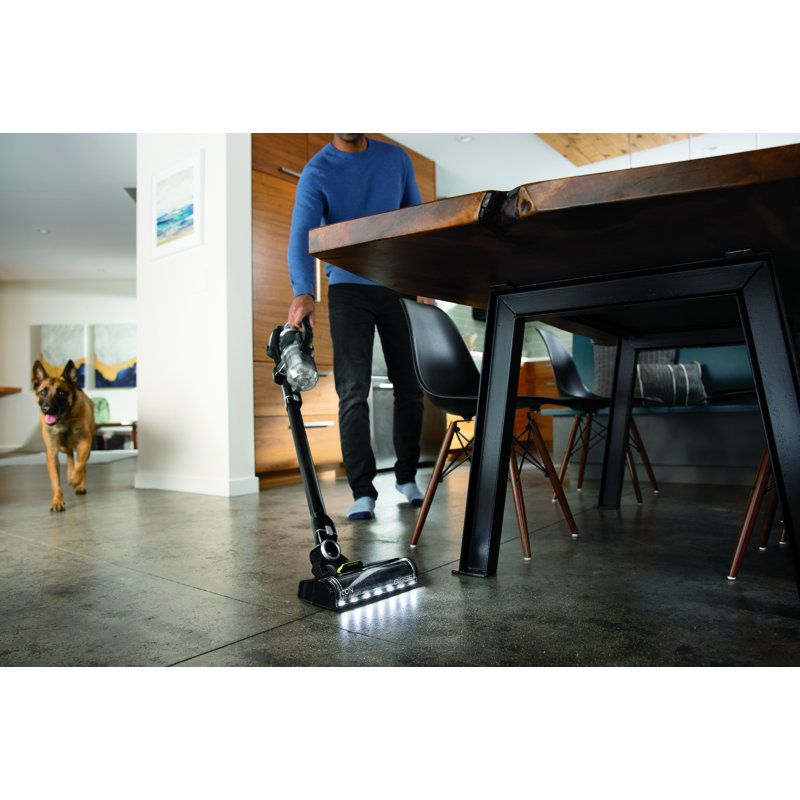 Bissell Iconpet Turbo Cordless Stick Vacuum & Reviews Wayfair